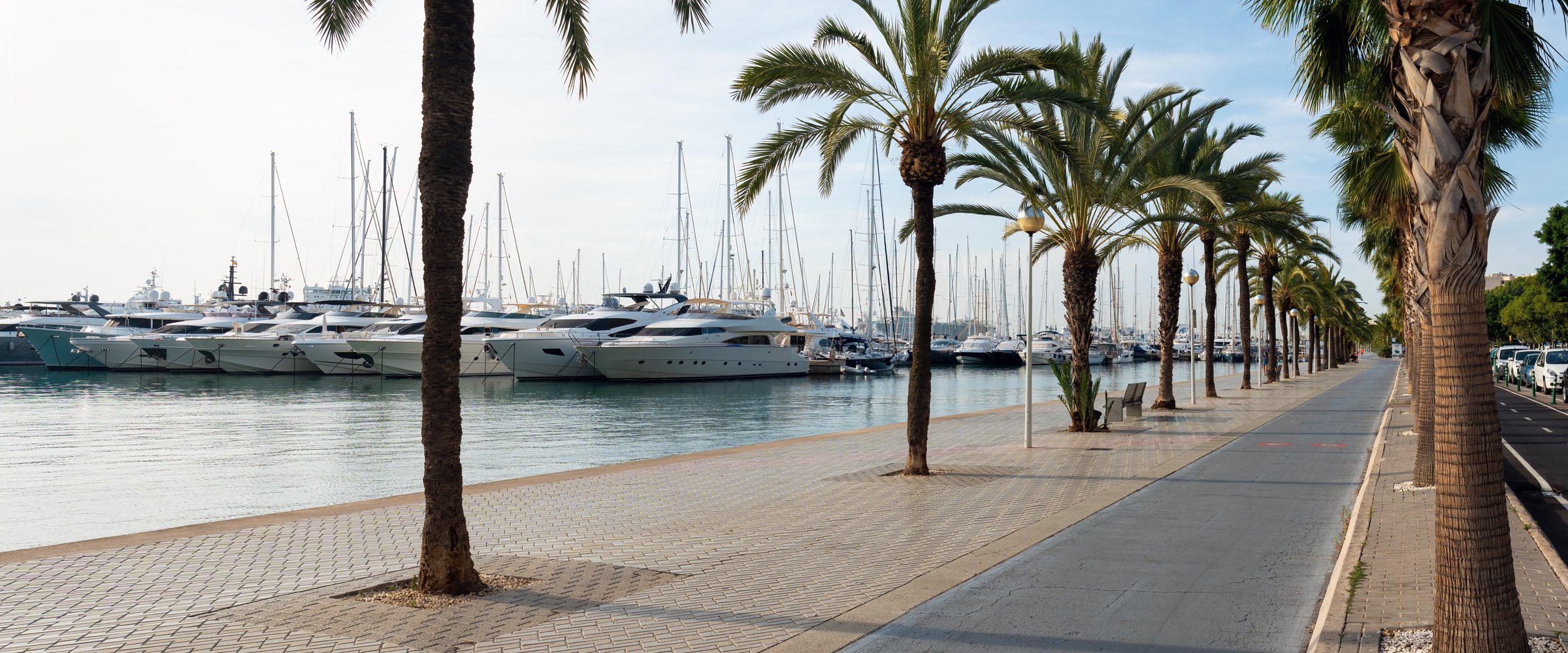 Paseo maritimo at early morning in Palma de Mallorca, Spain. Palm trees and Marina with Luxury yachts in the background.