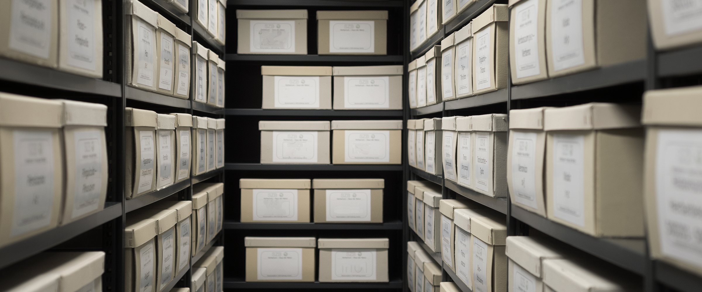 Indoor storage details in a manufacturing enterprise, black shelves with white office boxes. 