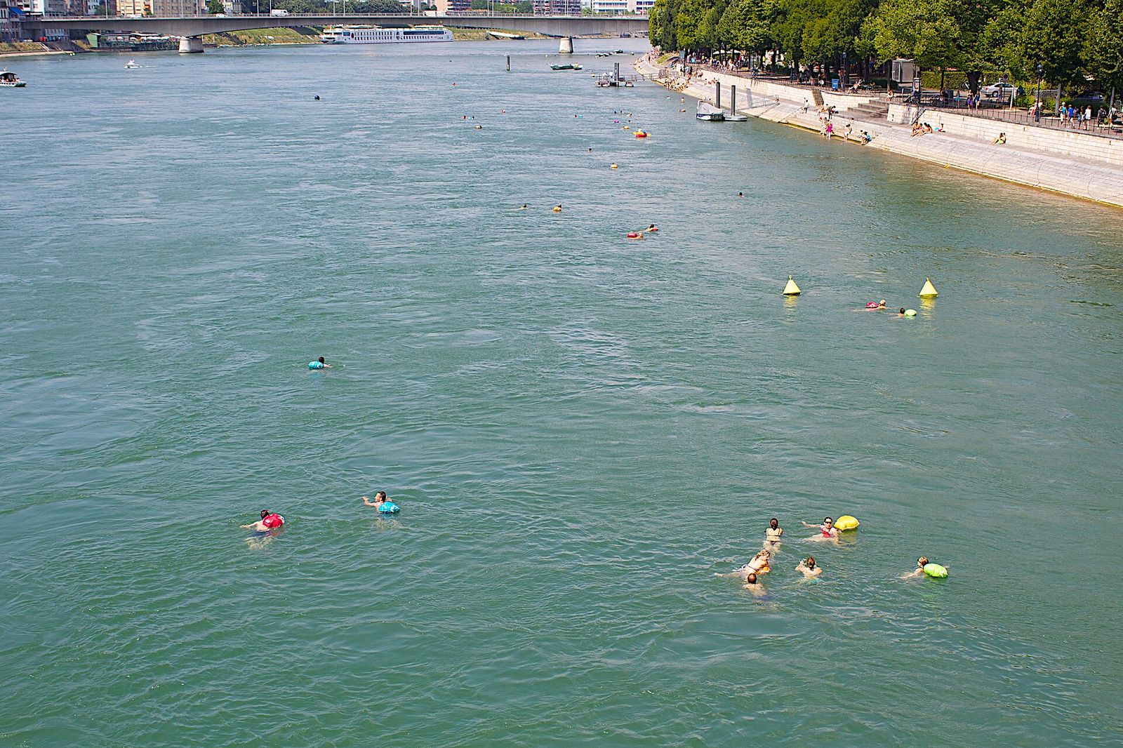 Rheinschwimmen Basel