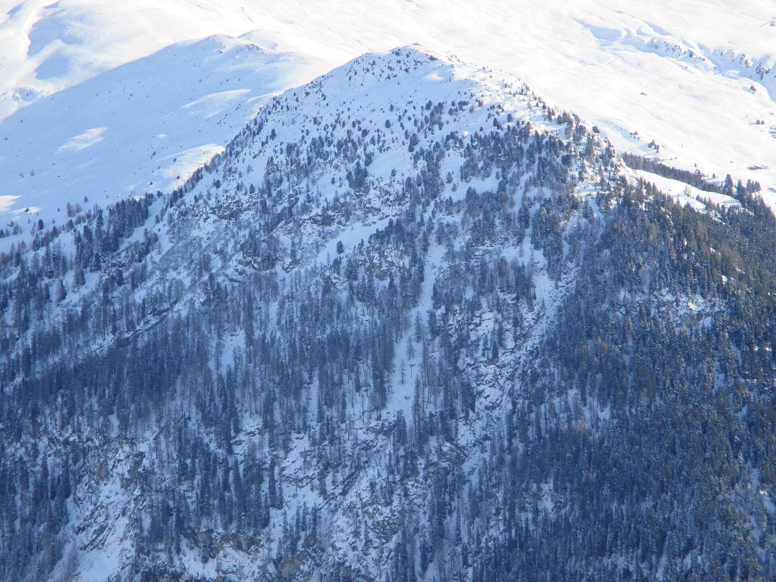 Seehorn, Davos