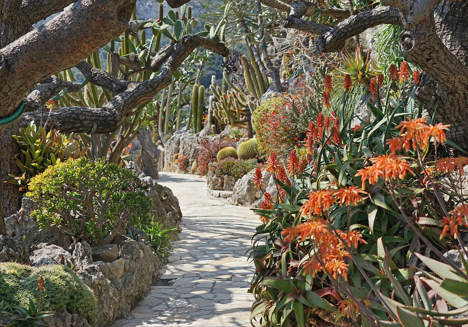 Photograph of Monaco