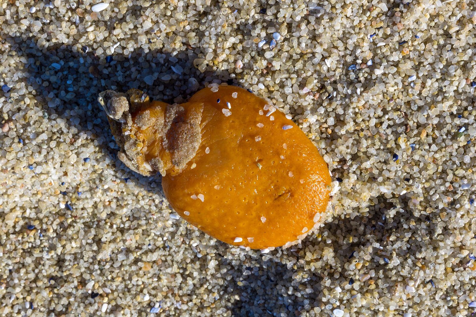 17 Mile Drive, Monterey, California, Pebble Beach