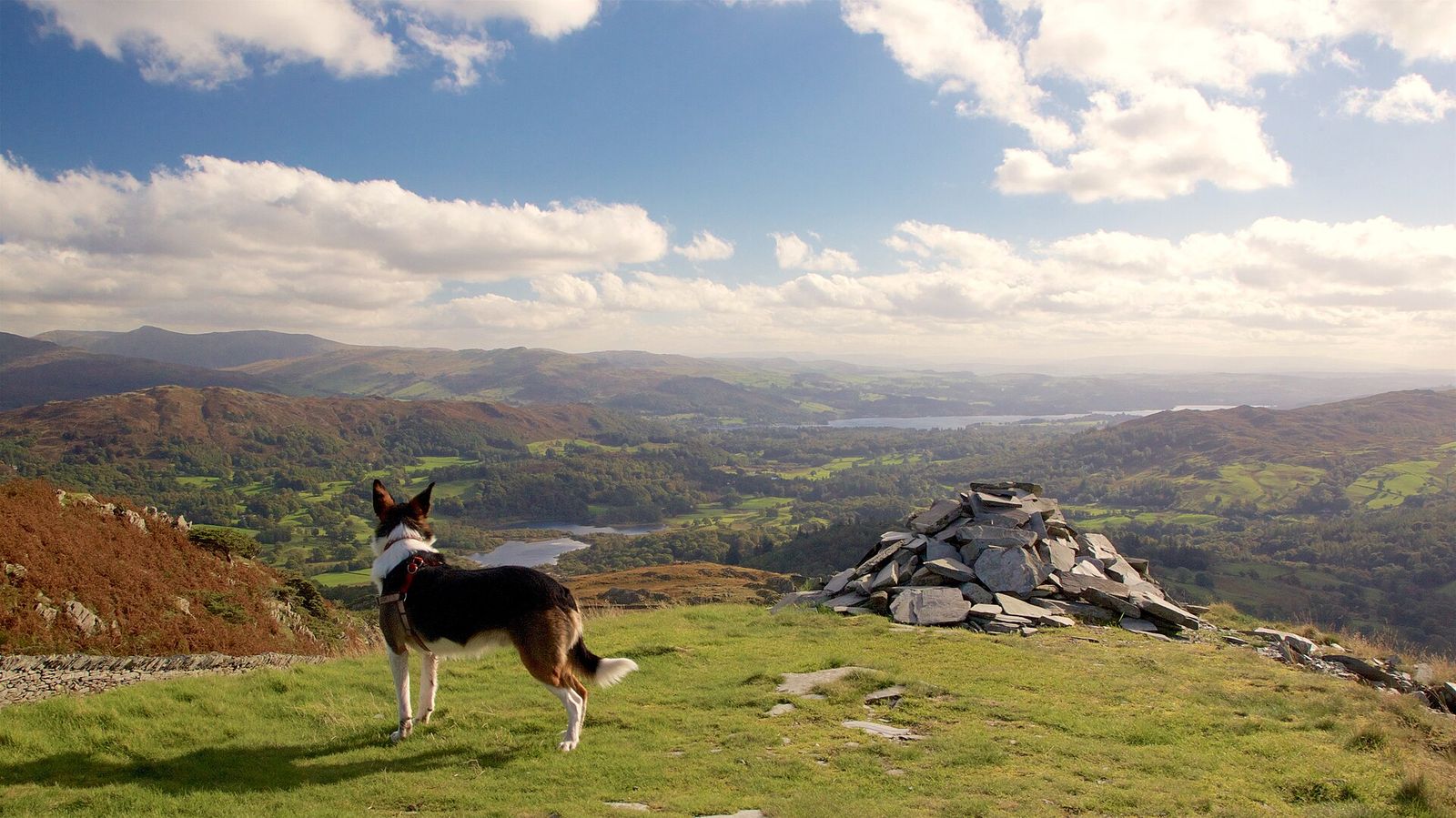 What a great hike it was up to this point to view the Langdale Valley Moss my Welsh Collie is really enjoying the View also, Sun Valley