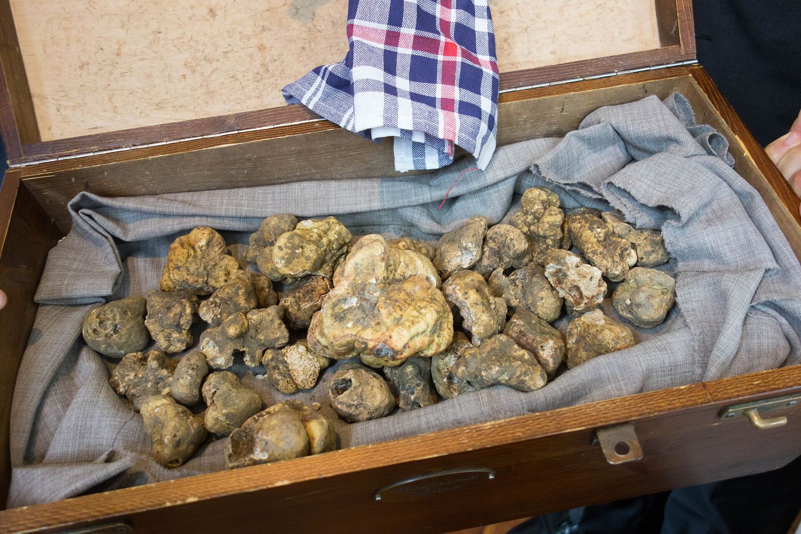 White truffles from Alba, Alba International White Truffle Fair