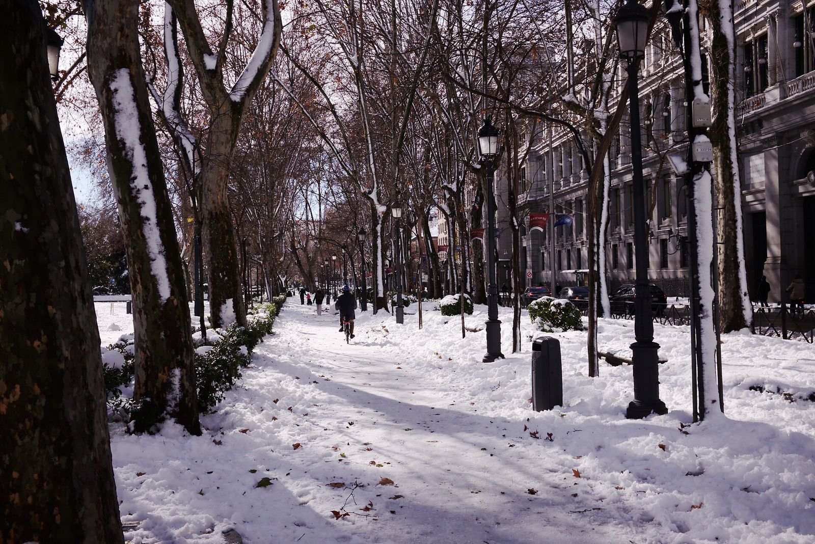 Paseo del Prado, Madrid, ARCOmadrid