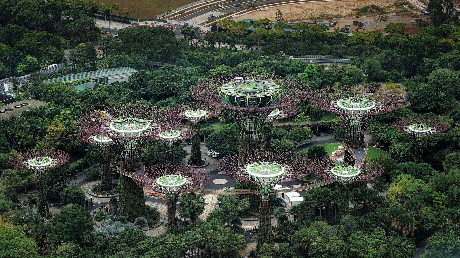 Supertree Grove from the observation platform on top of the Marina Bay Sands hotel, ART SG