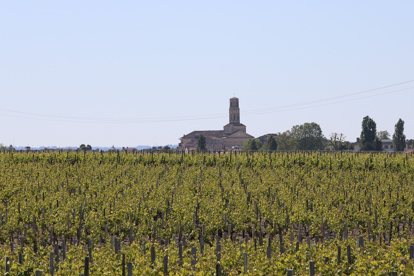 Vignoble de Pauillac, Bordeaux En Primeur Week