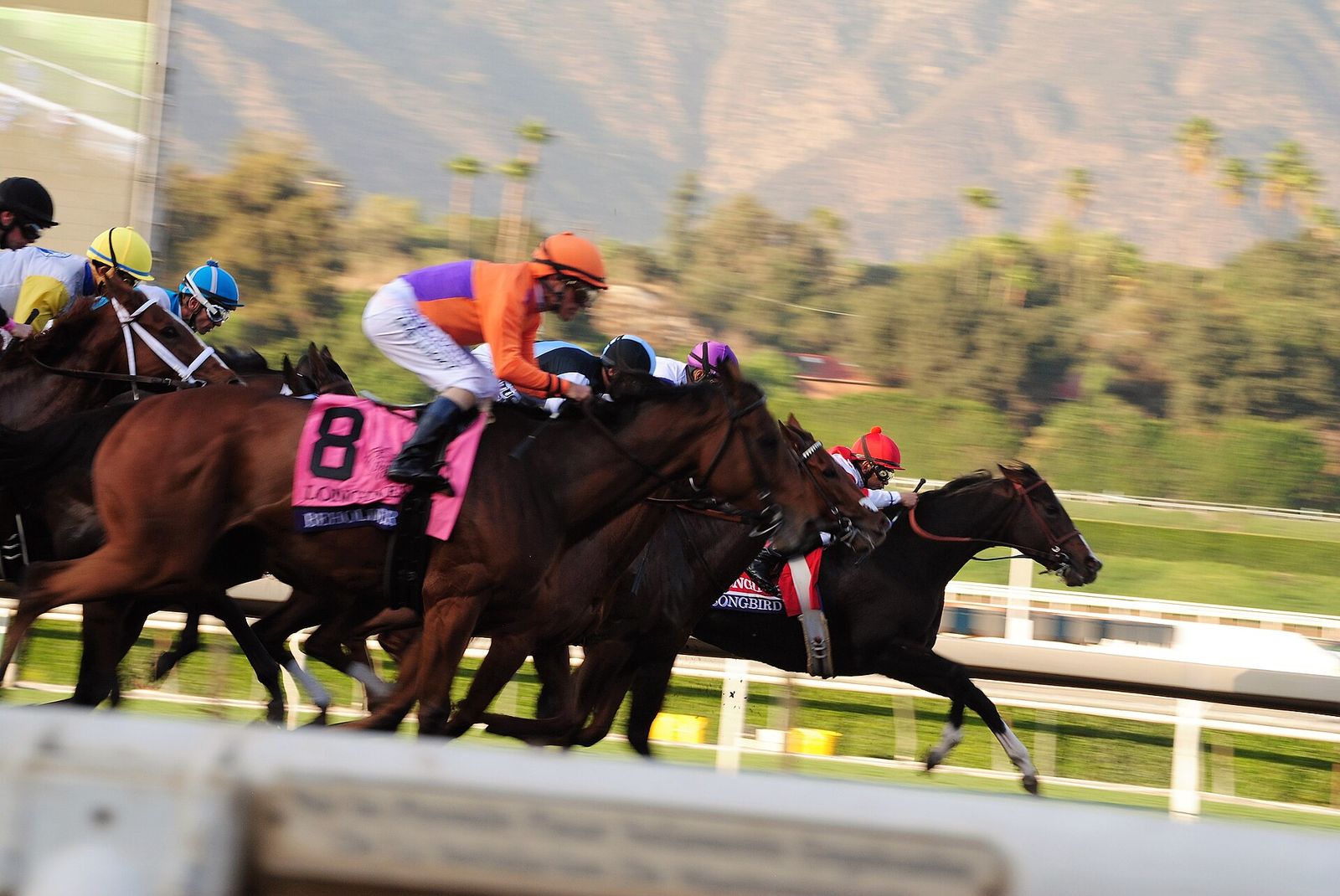 Start of the 2016 Breeders' Cup Distaff, with Songbird in the lead on the rail and Beholder on the outside, Breeders' Cup World Championships