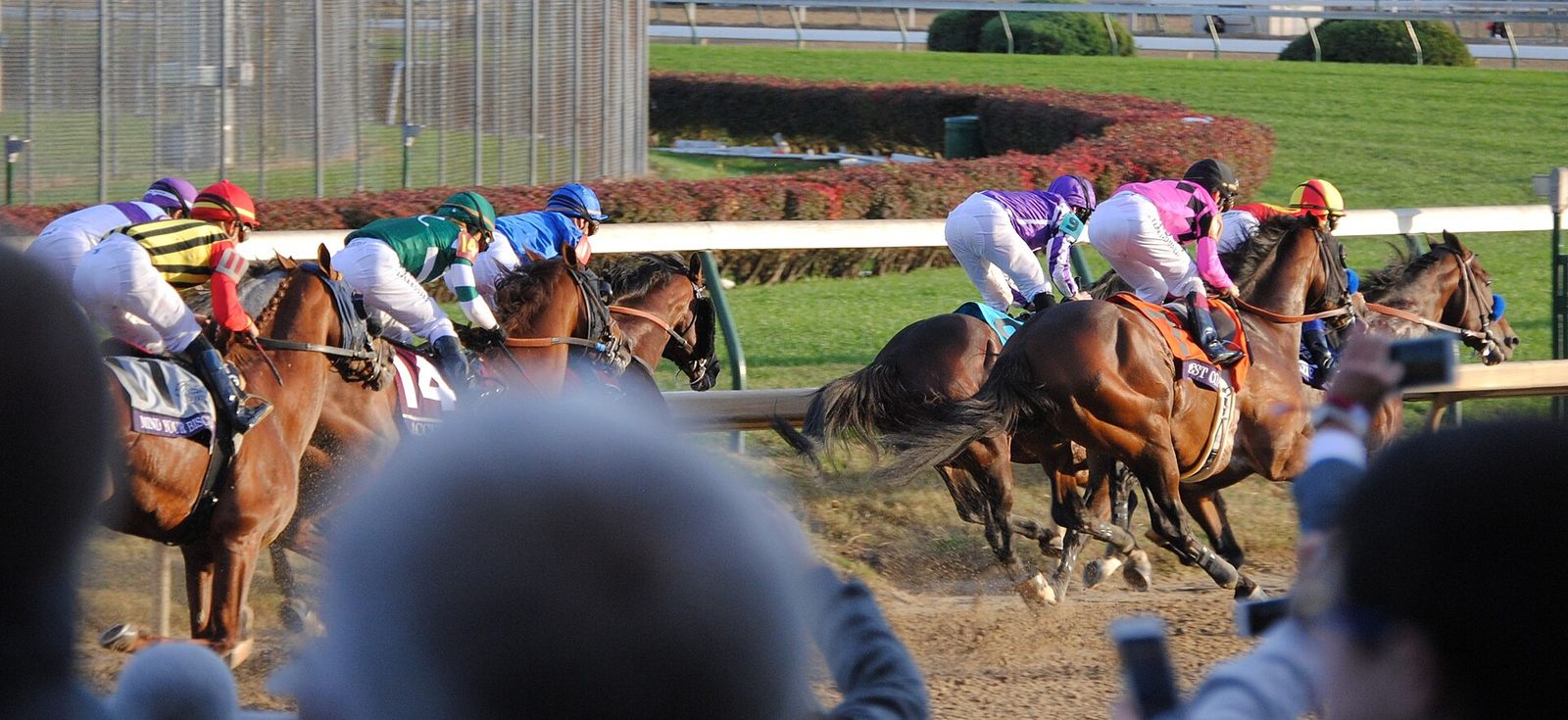 Going into the first turn of the 2018 Breeders' Cup Classic, Breeders' Cup World Championships