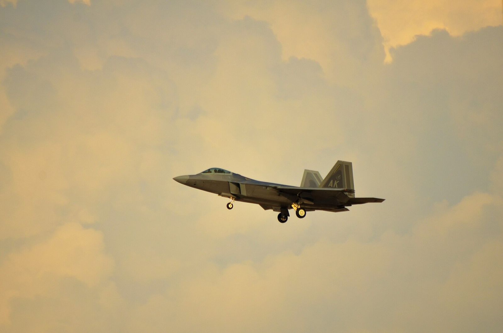 A U.S. Air Force F-22 Raptor from Joint Base Elmendorf-Richardson, Alaska, flies over a U.S. Marine Corps MV-22 Osprey at, Dubai Airshow
