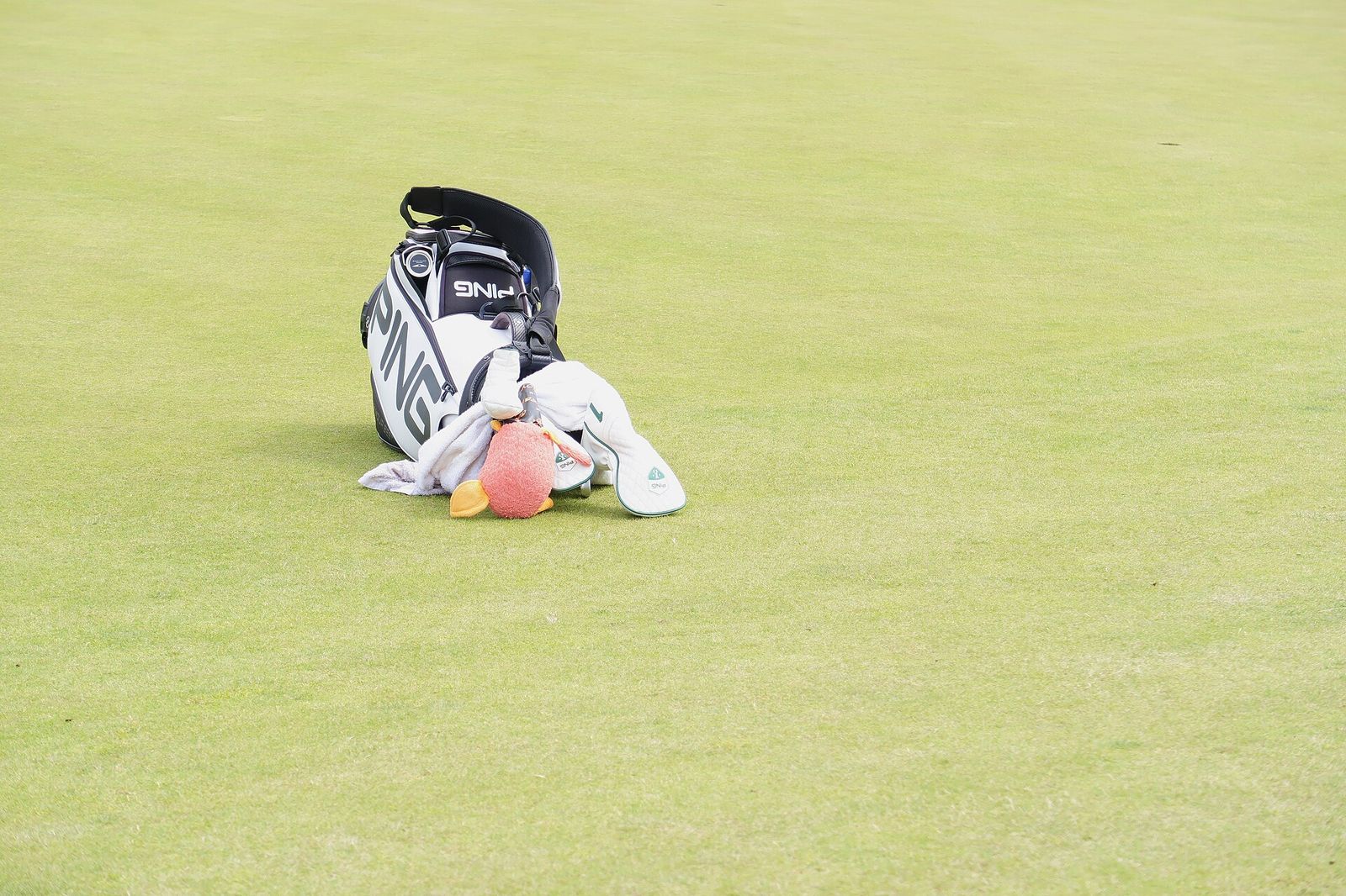 The 2022 Scottish Open PGA Tour tournament held at the Renaissance Club in North Berwick, Scotland, Genesis Scottish Open