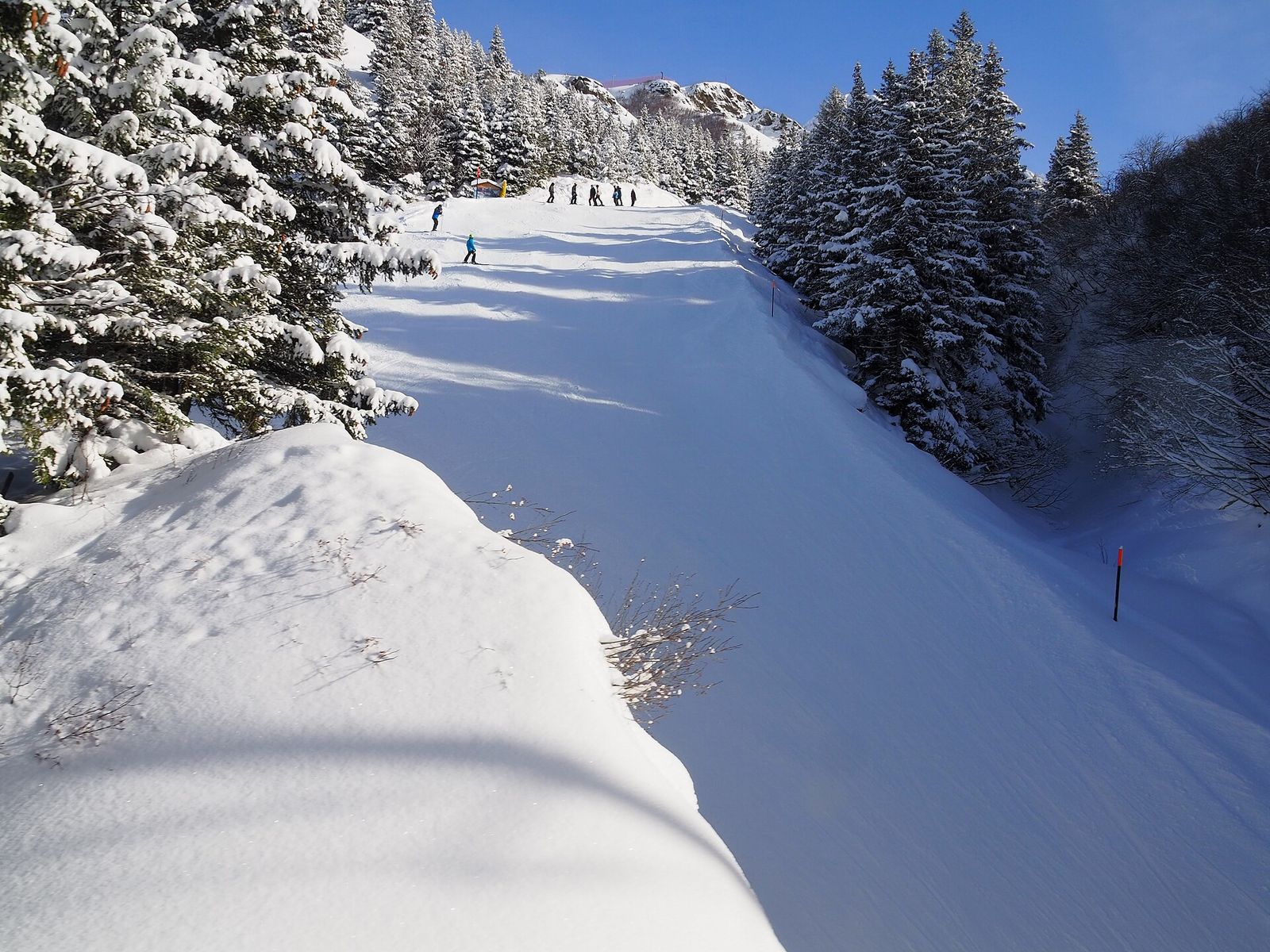 FIS Alpine Ski World Cup in Wengen, Lauberhorn Races