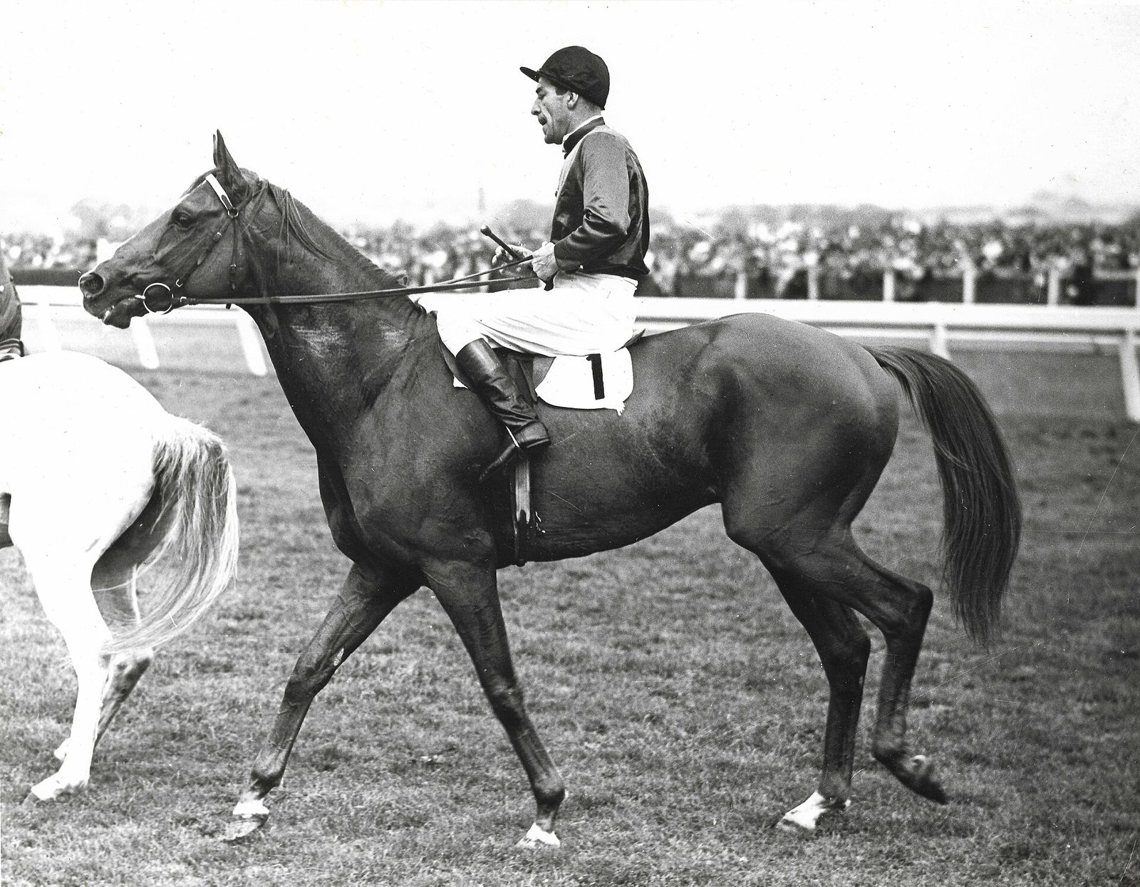 Russia 1946 VRC Melbourne Cup Flemington Racecourse Jockey Darby Munro, Melbourne Cup Carnival
