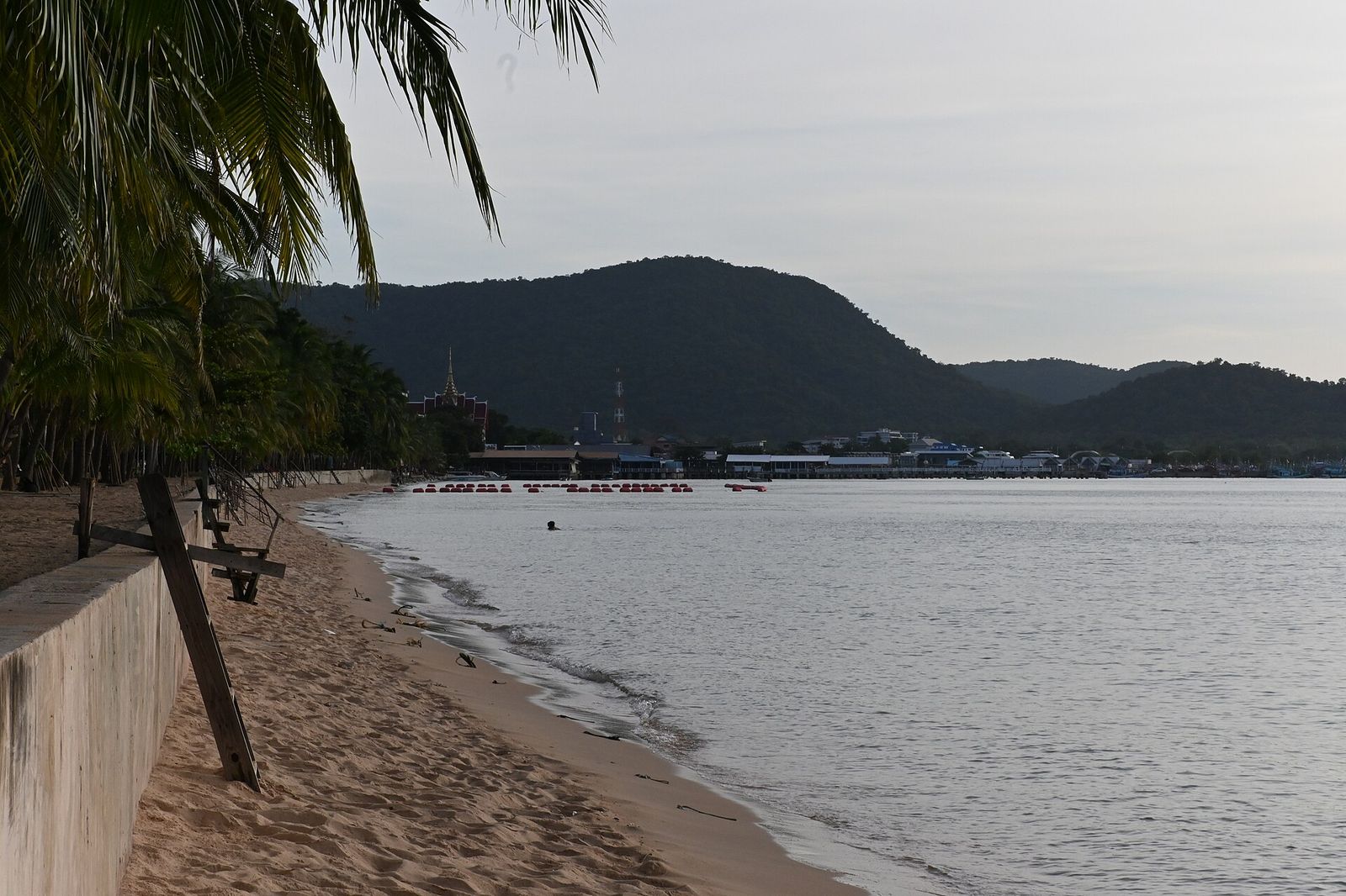 This photo shows a peaceful coastal scene with a sandy beach stretching along the shoreline, Palm Beach International Boat Show