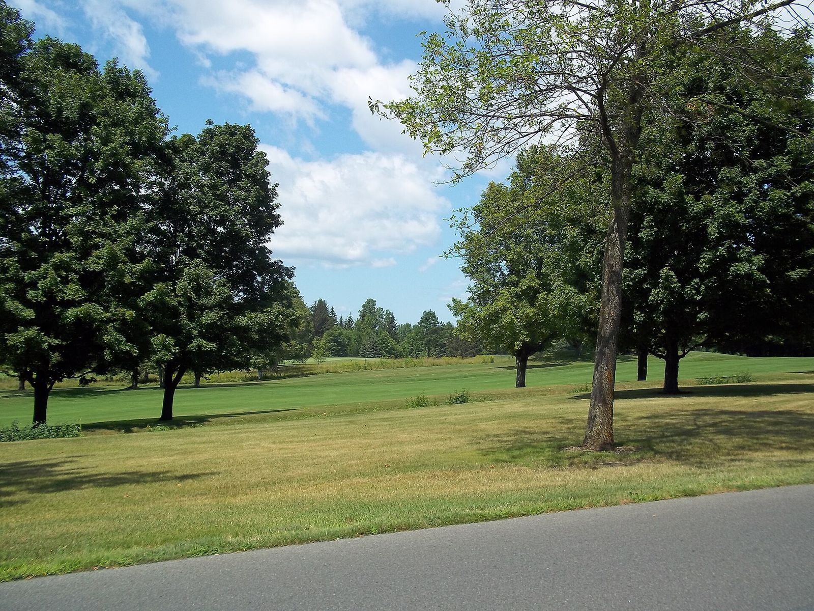 Royal Montreal Golf Club, Île Bizard, Presidents Cup
