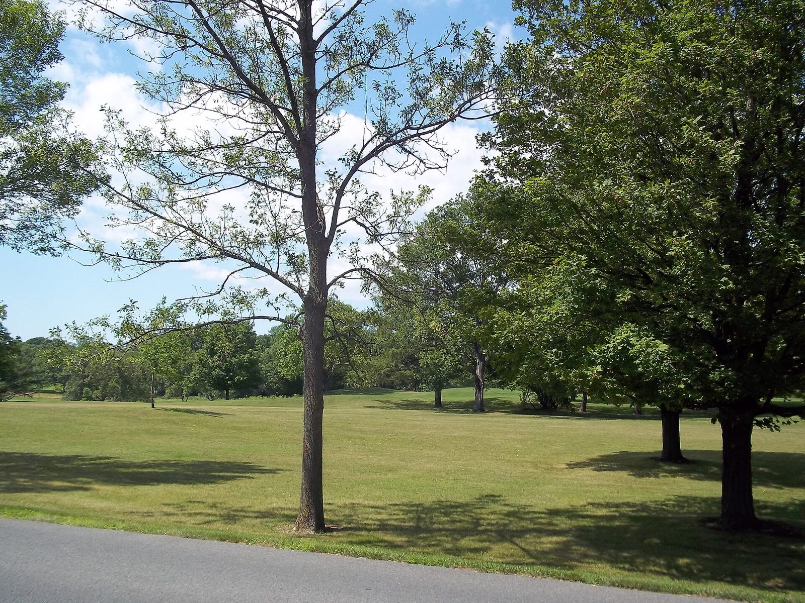 Royal Montreal Golf Club, Île Bizard, Presidents Cup