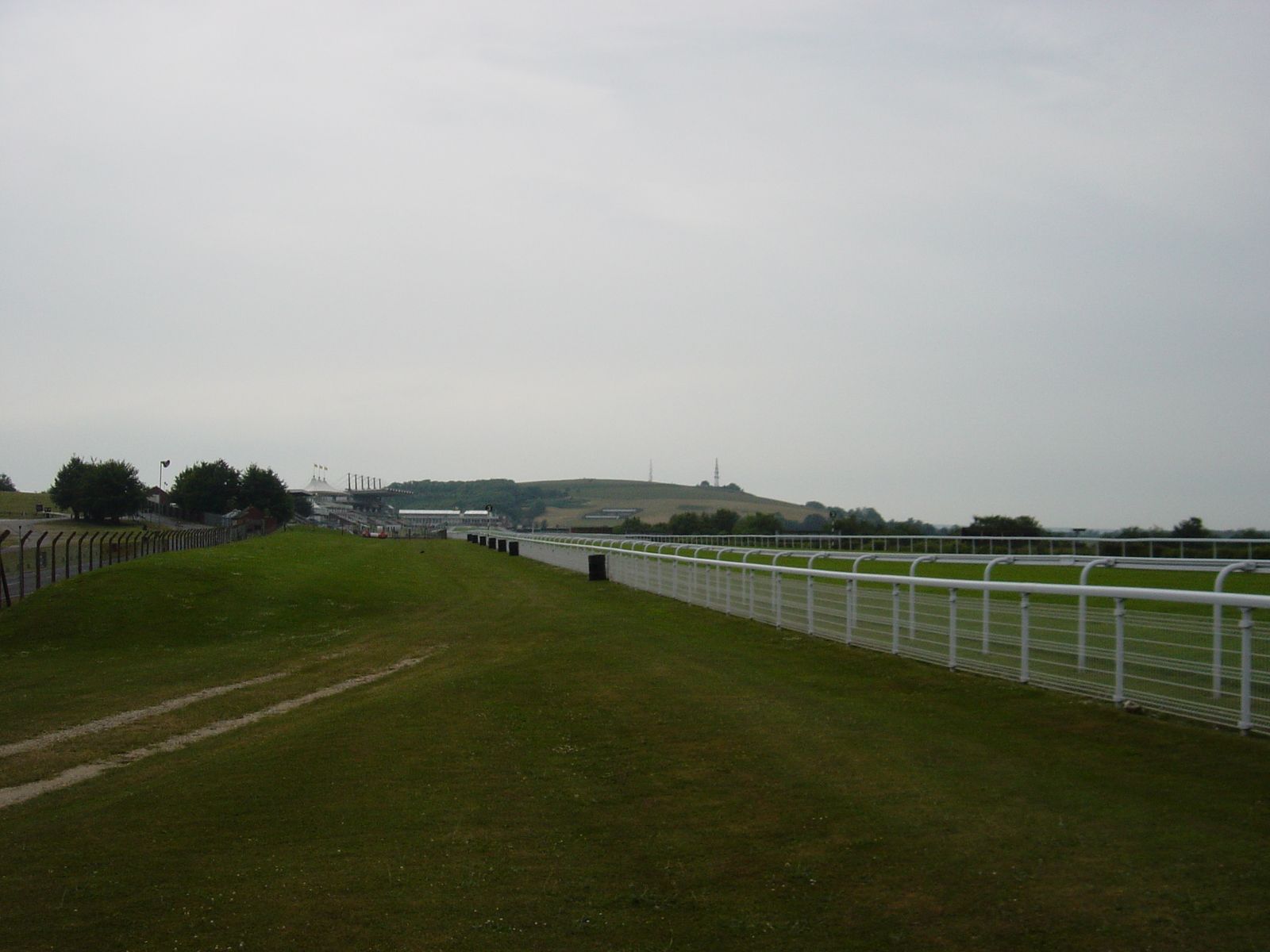 Goodwood Racecourse View with stand, West Sussex, England, Qatar Goodwood Festival