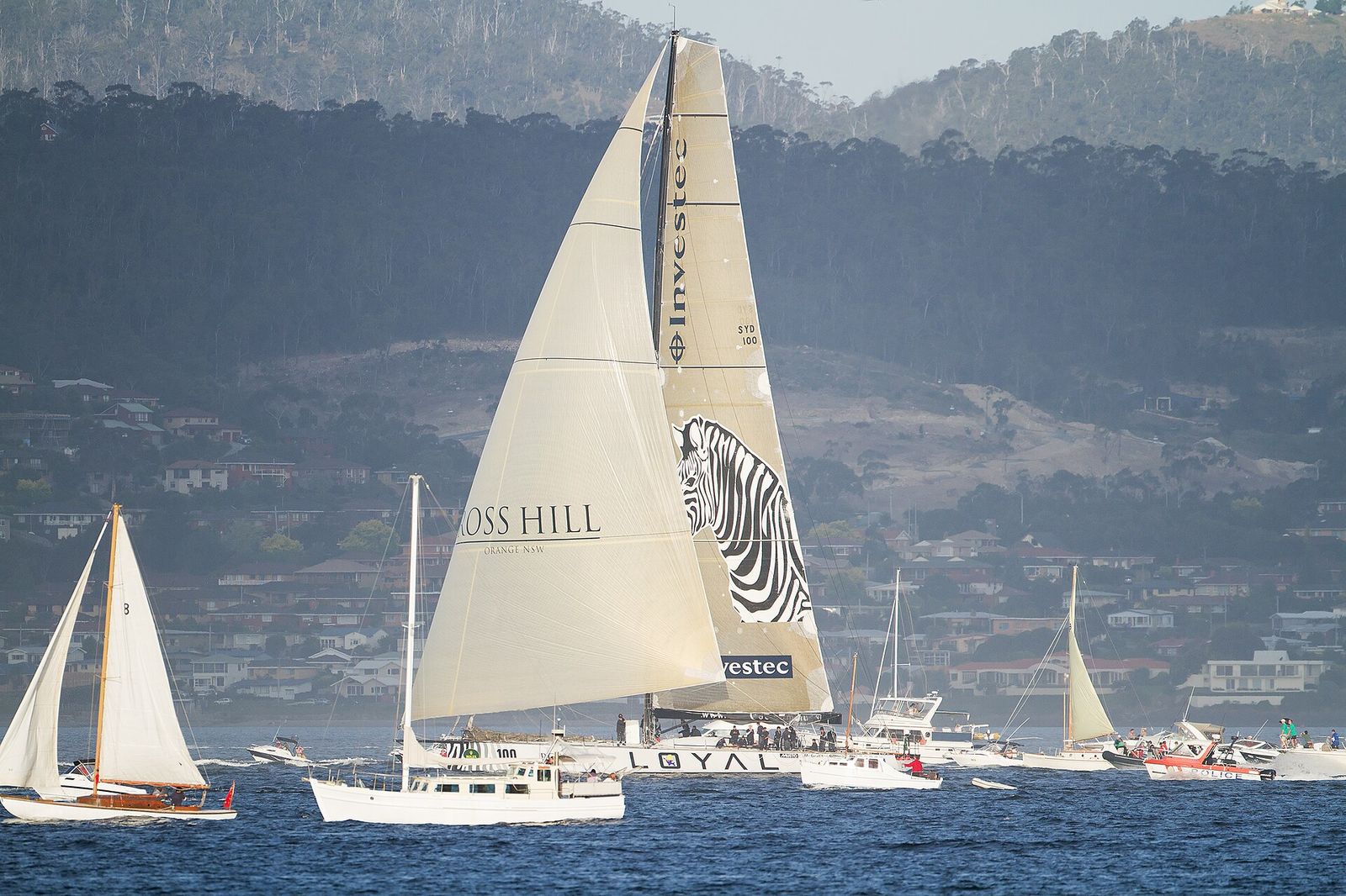 Investec Loyal about to win the 2011 Sydney to Hobart, Taken from Sandy Bay, Hobart, Tasmania, Australia, Rolex Sydney Hobart Yacht Race