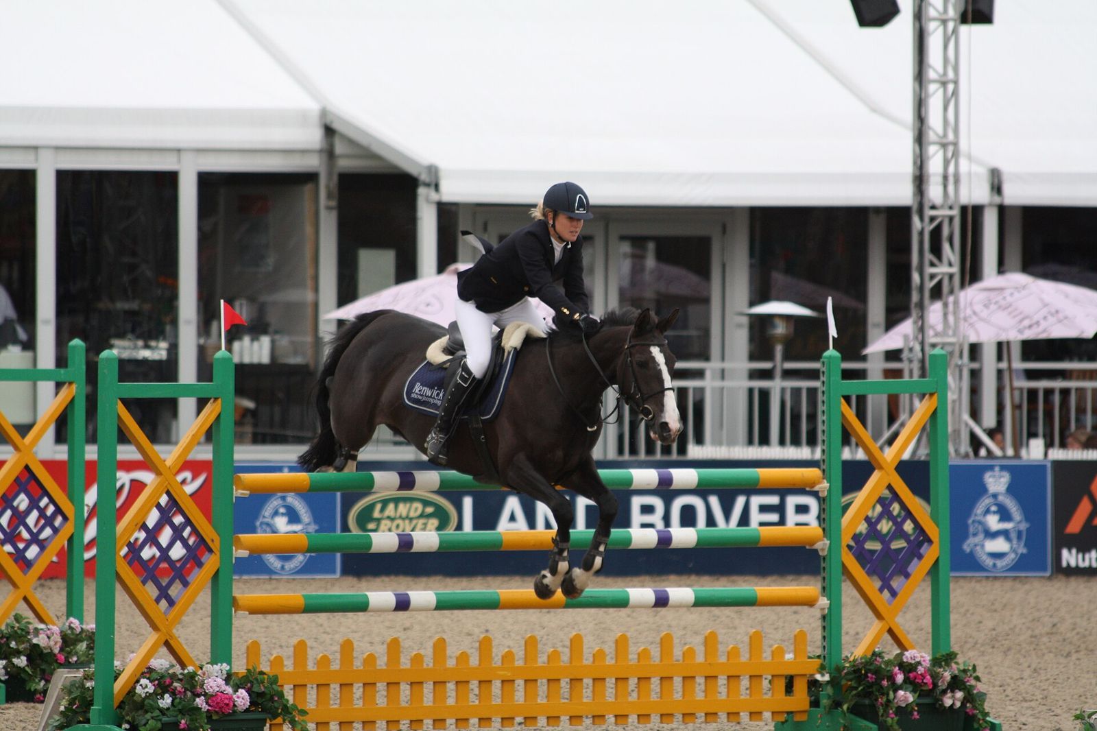 Laura Renwick riding Limelight De Breve, Royal Windsor Horse Show