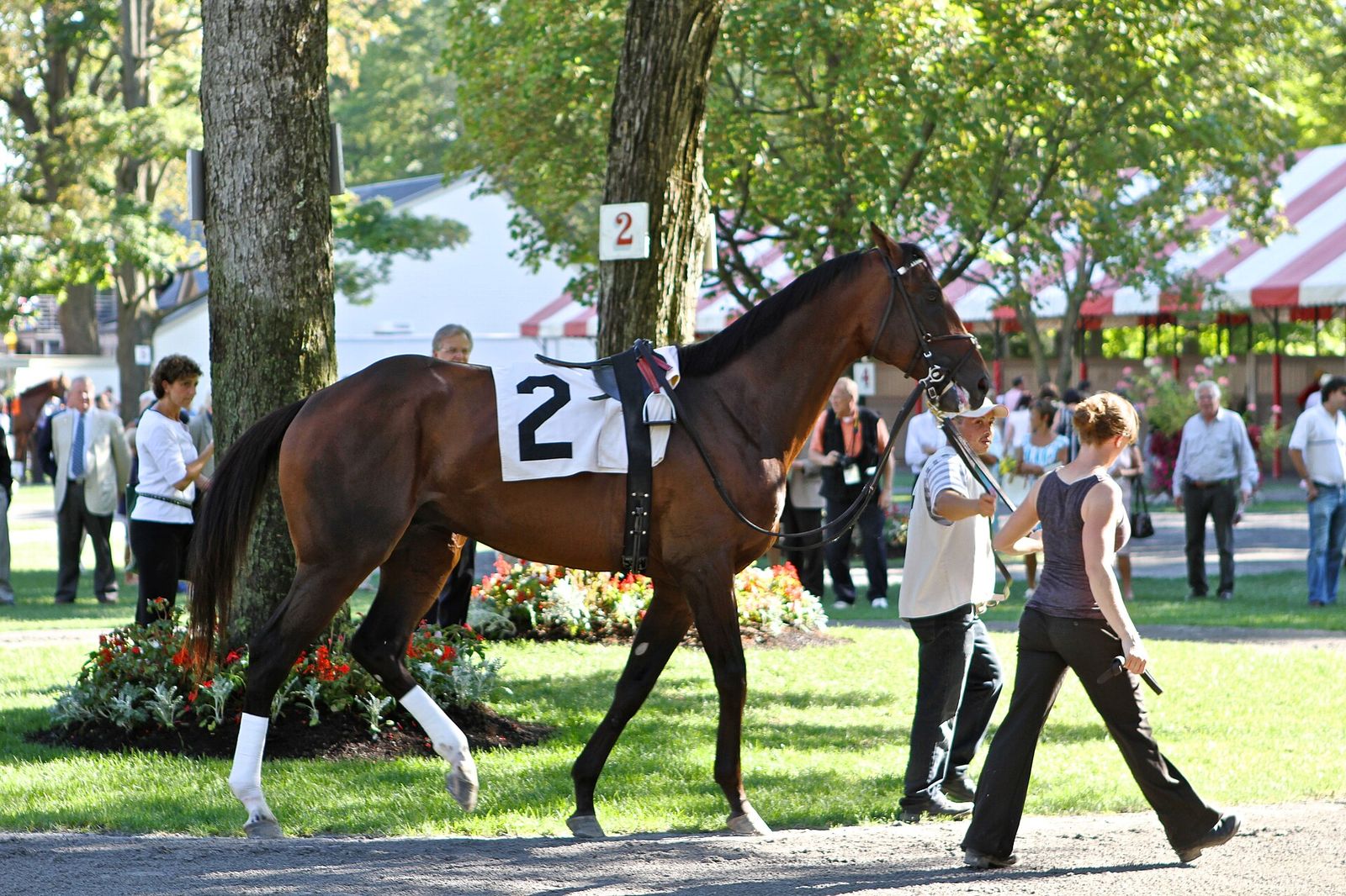 COPYRIGHT AND CC INFORMATION **** If you like and want to use our photos you're welcome to but we require that you give us, Saratoga Summer Meet