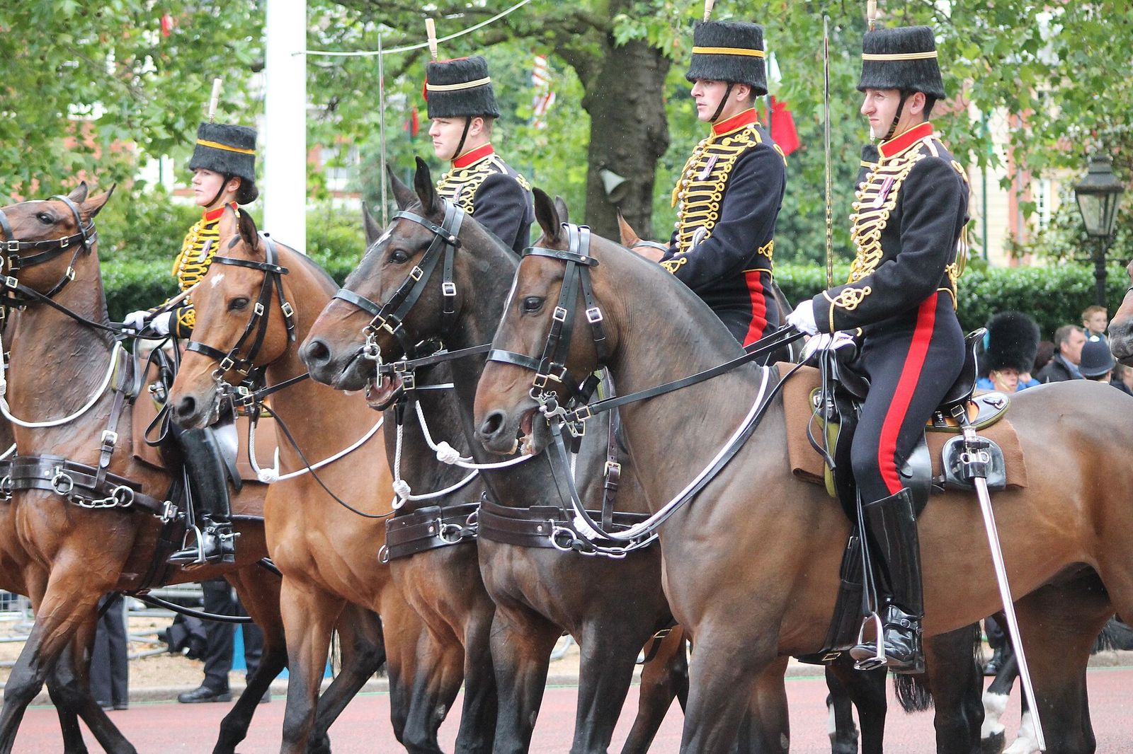 King's Troop, Royal Horse Artillery, Trooping the Colour, 16 June 2012