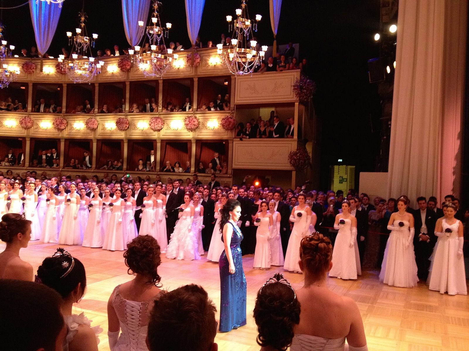 Margarita Gritskova singing Di Tanti Palpiti from Tancredi from Rossini, music by Wiener Staatsopernorchester, Vienna Opera, Vienna Opera Ball