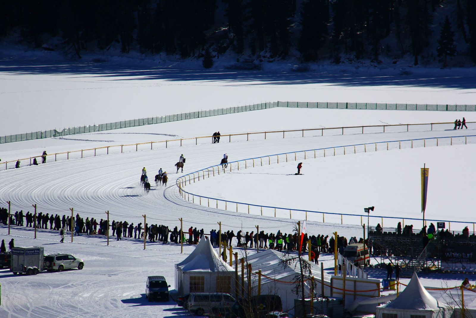 St. Moritz - Swiss, White Turf St. Moritz