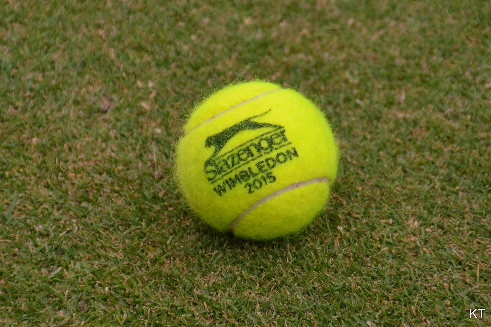 Aegon Championships, Queen's Club, June 2015, The Championships, Wimbledon